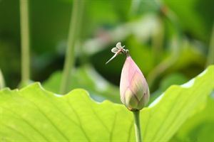 如何连续还阴债一年？九个实用技巧让你不再担忧还债问题！