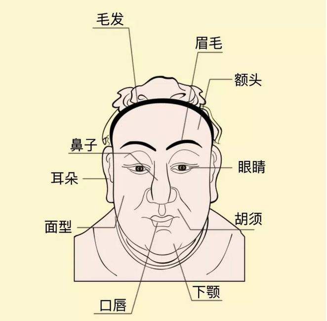 从面相五官看你的优缺点