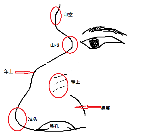 面相口诀刘恒注解，看鼻子知道人品