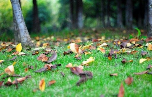 想要挽回心淡老公 有效的解决方法是击垮心里的那道坎