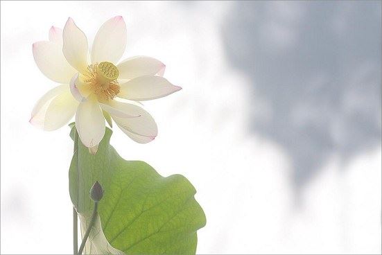 事业运势不好怎么办，这几点建议值得每位职场人学习